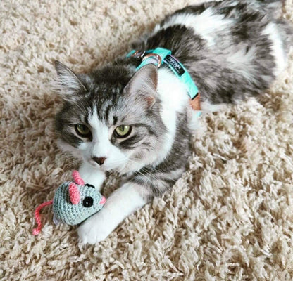 Set Arnés y Correa Sky Blue Perros y Gatos (2 PIECES)